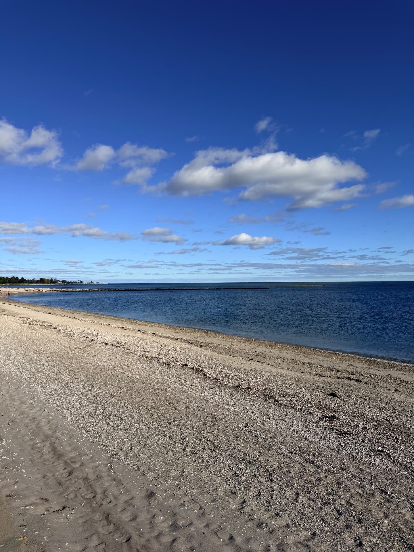 Empty shell-and-sand beach curving toward a jetty under a deep blue sky