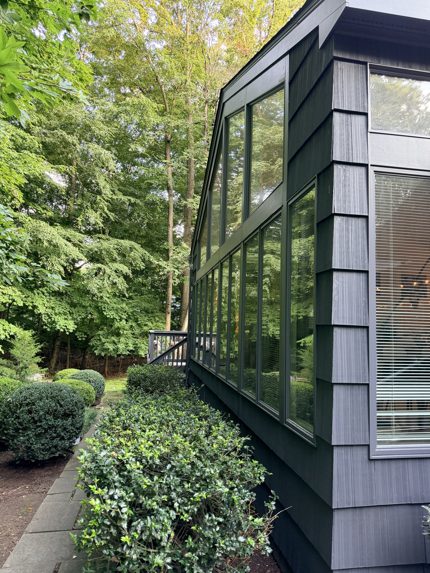 Tall dark-framed windows on the side of the house, surrounded by green planting