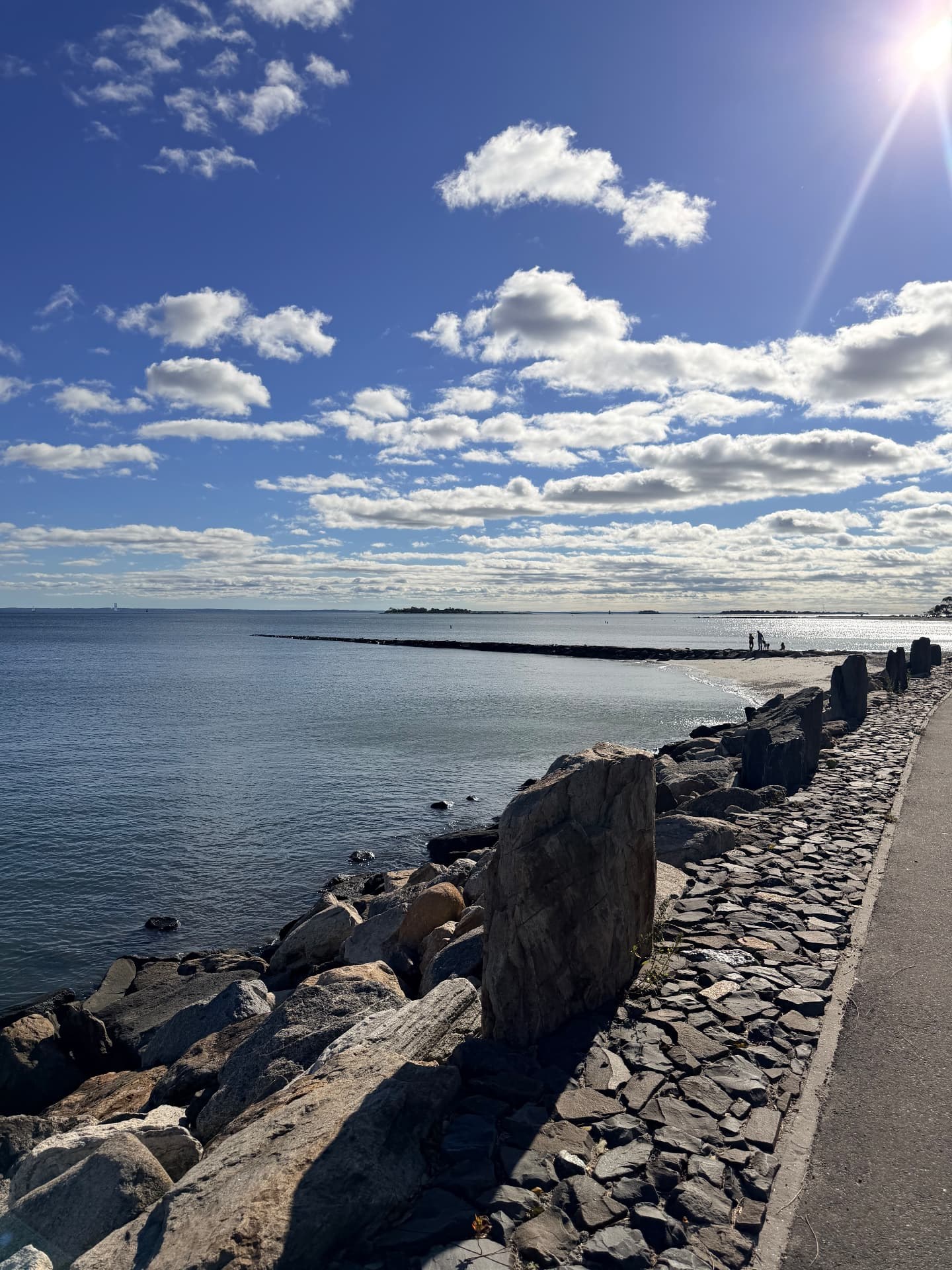 Rocky seawall and path beside the water, with a few figures and a dog by a long jetty in the distance