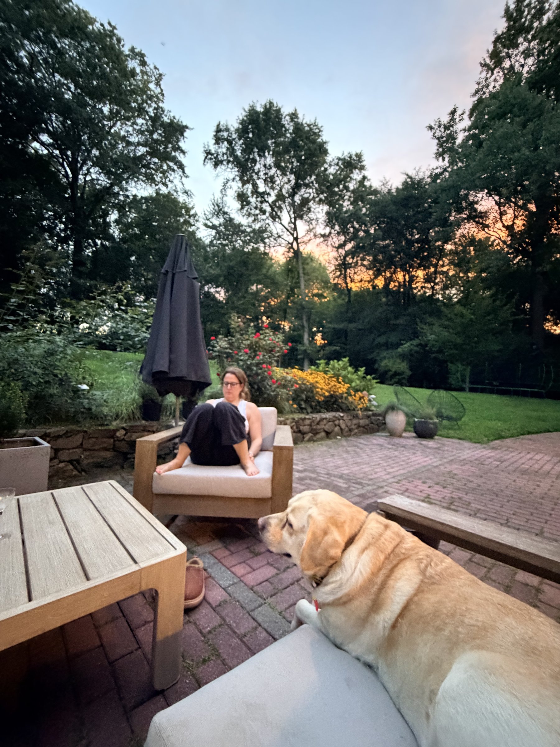 Patio at dusk with a dog in the foreground and trees beyond