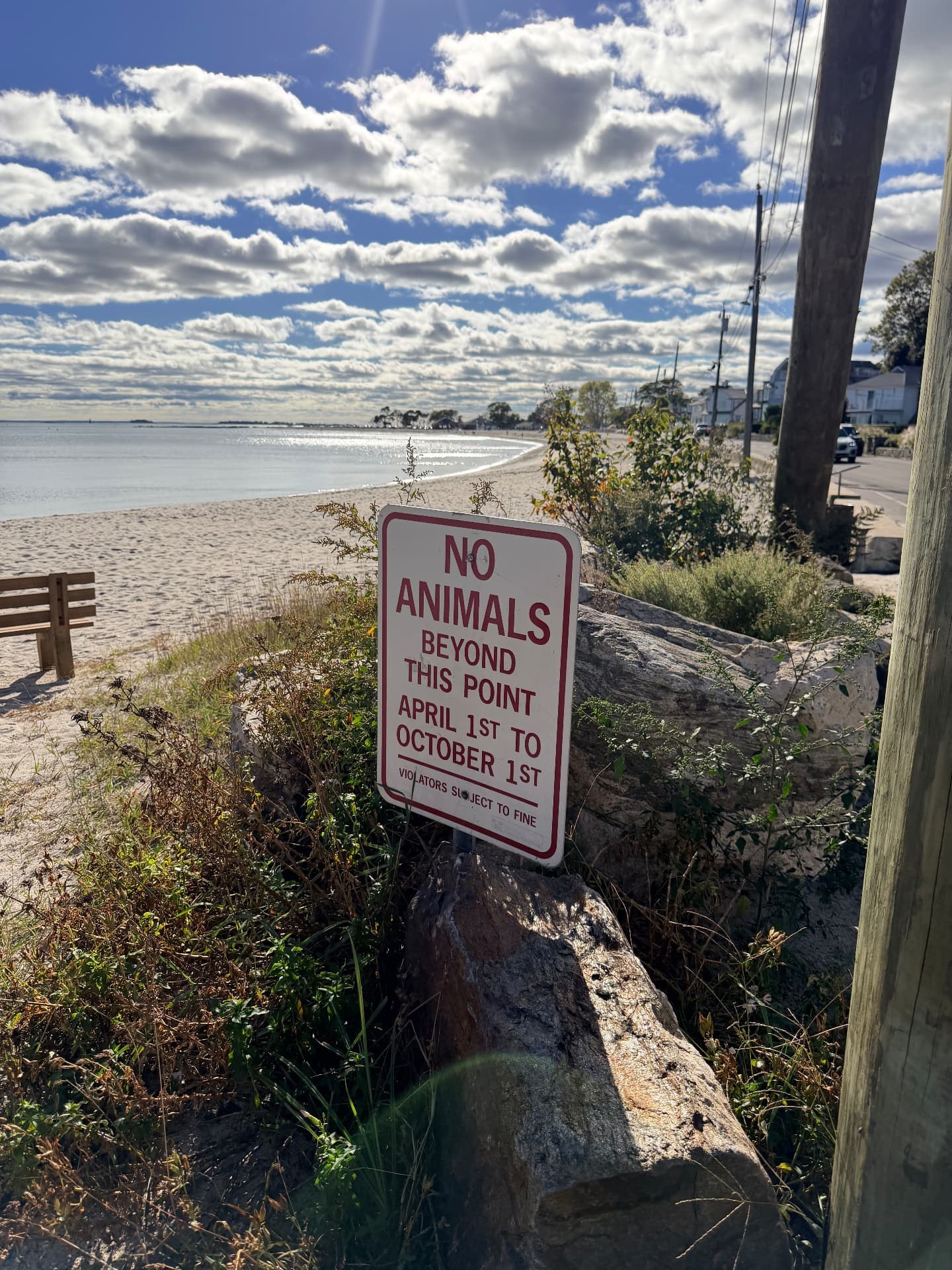 Sign reading No Animals Beyond This Point April 1st to October 1st, beside the beach and a bench